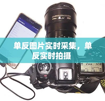 单反图片实时采集，单反实时拍摄 