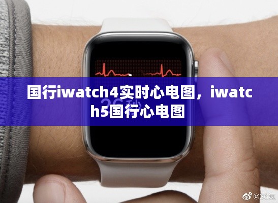 国行iwatch4实时心电图，iwatch5国行心电图 