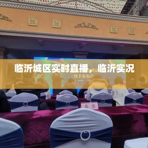 临沂城区实时直播，临沂实况 