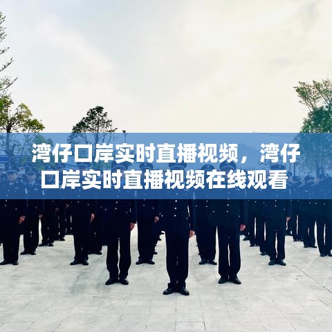 湾仔口岸实时直播视频，湾仔口岸实时直播视频在线观看 