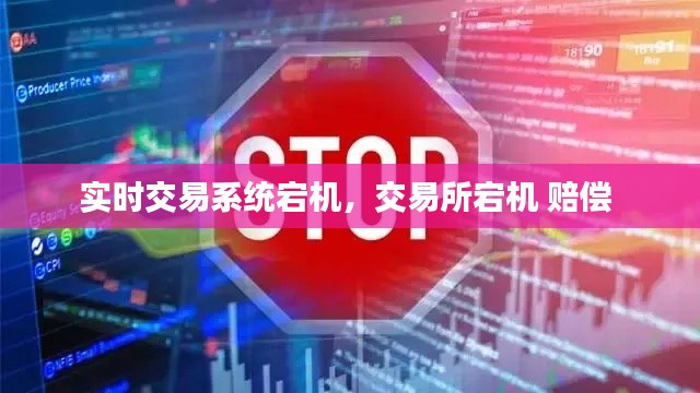 实时交易系统宕机，交易所宕机 赔偿 