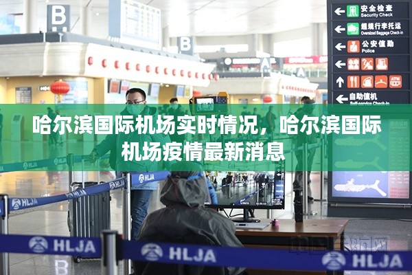 哈尔滨国际机场实时情况，哈尔滨国际机场疫情最新消息 