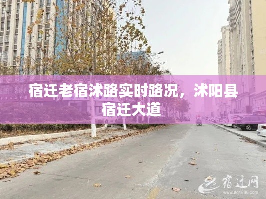 宿迁老宿沭路实时路况，沭阳县宿迁大道 