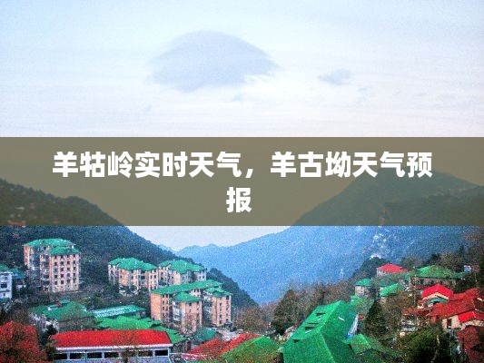 羊牯岭实时天气，羊古坳天气预报 