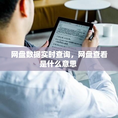 网盘数据实时查询，网盘查看是什么意思 