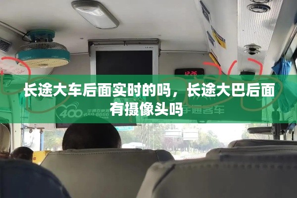 雍容典雅 第2页