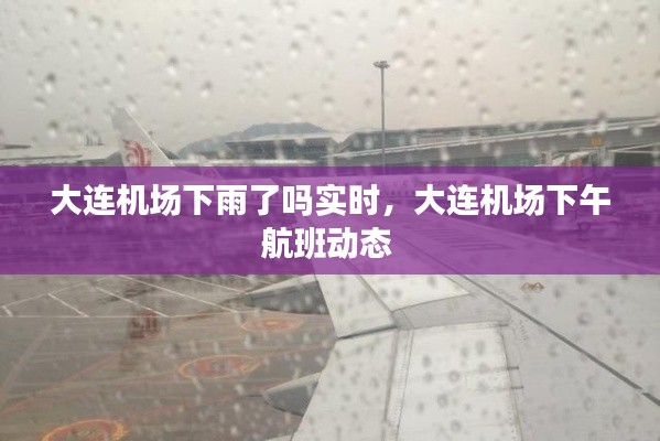 大连机场下雨了吗实时，大连机场下午航班动态 