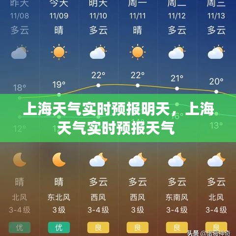 上海天气实时预报明天，上海天气实时预报天气 