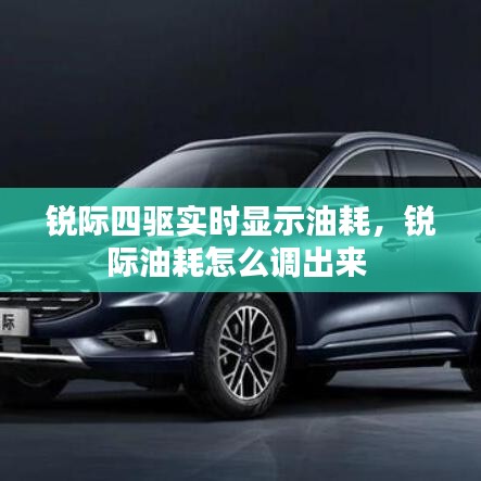 锐际四驱实时显示油耗，锐际油耗怎么调出来 