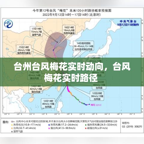台州台风梅花实时动向，台风梅花实时路径 