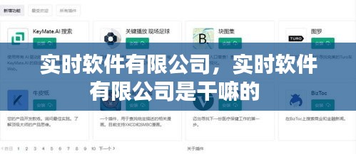 实时软件有限公司，实时软件有限公司是干嘛的 