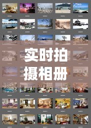 越鸟南栖 第3页