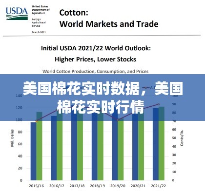 美国棉花实时数据，美国棉花实时行情 