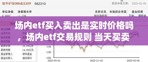 场内etf买入卖出是实时价格吗，场内etf交易规则 当天买卖 