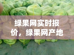 第1461页