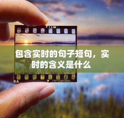 包含实时的句子短句，实时的含义是什么 