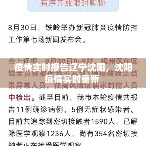 疫情实时报告辽宁沈阳，沈阳疫情实时更新 