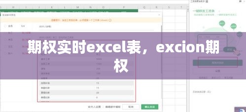 期权实时excel表，excion期权 