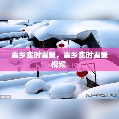 雪乡实时雪景，雪乡实时雪景视频 
