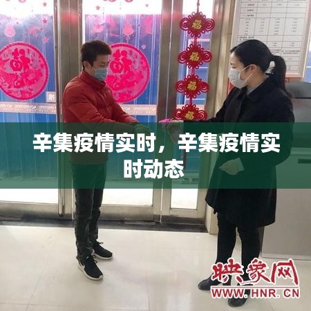 辛集疫情实时，辛集疫情实时动态 
