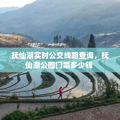 抚仙湖实时公交线路查询，抚仙湖公园门票多少钱 