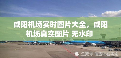 咸阳机场实时图片大全，咸阳机场真实图片 无水印 