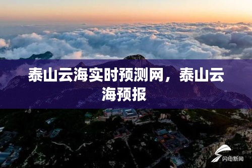 泰山云海实时预测网，泰山云海预报 