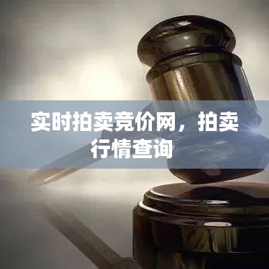 实时拍卖竞价网，拍卖行情查询 