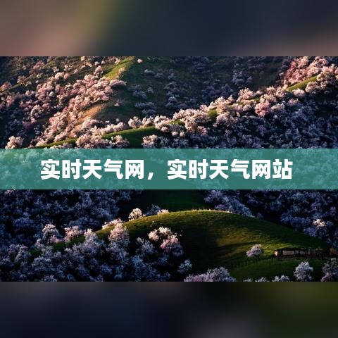 实时天气网，实时天气网站 