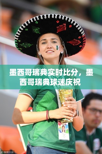 墨西哥瑞典实时比分，墨西哥瑞典球迷庆祝 