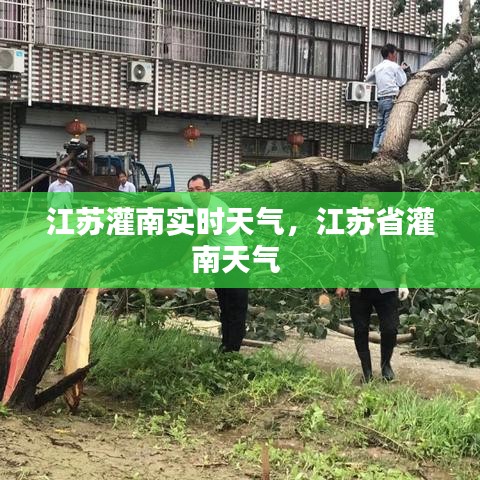 江苏灌南实时天气，江苏省灌南天气 
