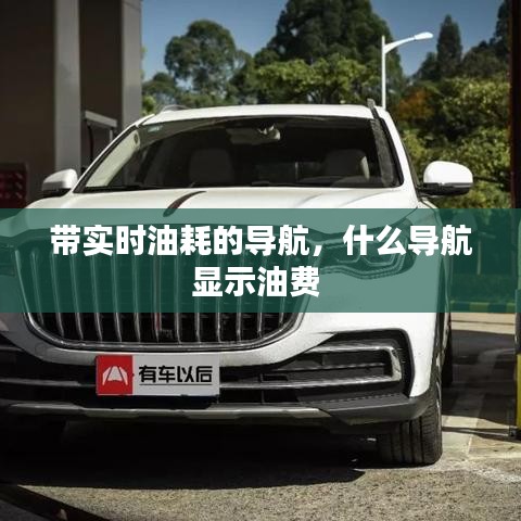 带实时油耗的导航，什么导航显示油费 