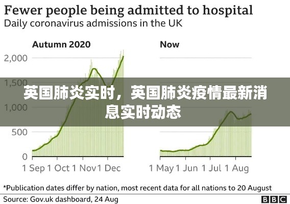 英国肺炎实时，英国肺炎疫情最新消息实时动态 