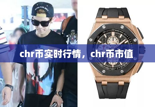 chr币实时行情，chr币市值 
