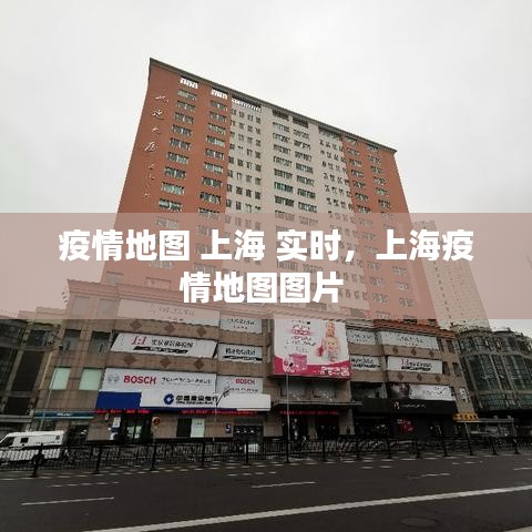 疫情地图 上海 实时，上海疫情地图图片 