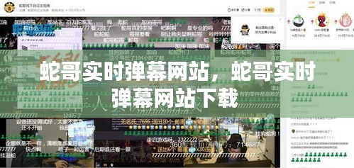 蛇哥实时弹幕网站，蛇哥实时弹幕网站下载 