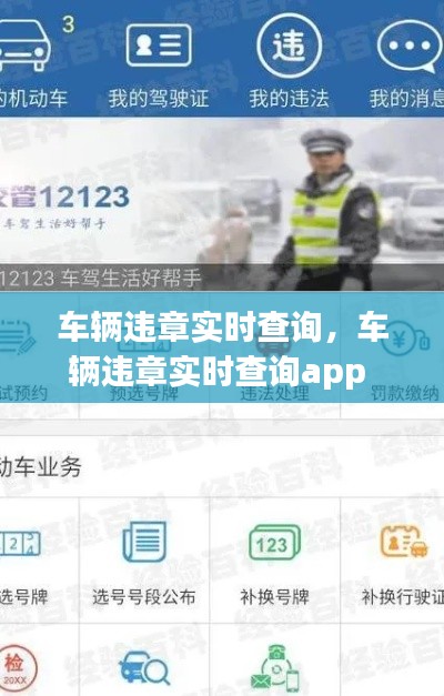 车辆违章实时查询，车辆违章实时查询app 