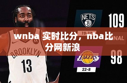 wnba 实时比分，nba比分网新浪 