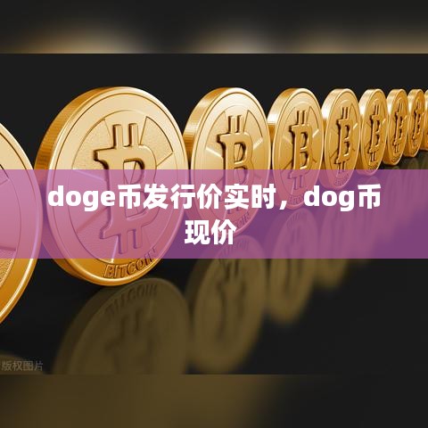 doge币发行价实时，dog币现价 