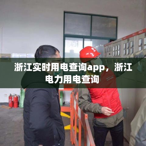 浙江实时用电查询app，浙江电力用电查询 