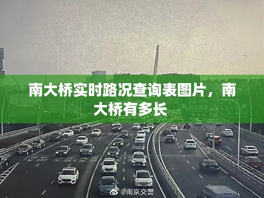 南大桥实时路况查询表图片，南大桥有多长 