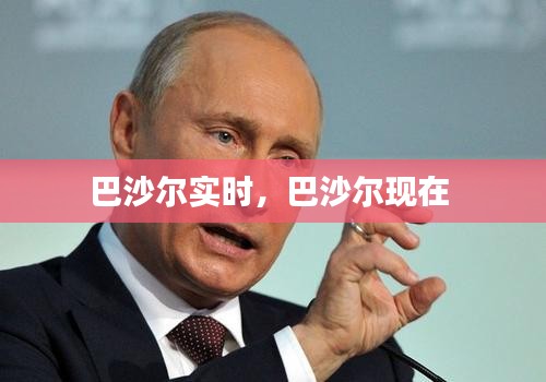 巴沙尔实时，巴沙尔现在 