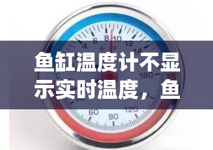 鱼缸温度计不显示实时温度，鱼缸温度计不显示实时温度怎么回事 