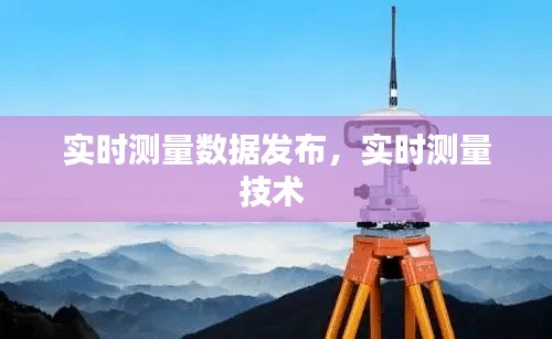 实时测量数据发布，实时测量技术 