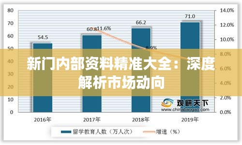 新门内部资料精准大全：深度解析市场动向