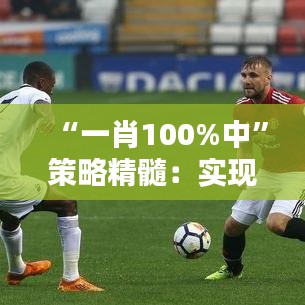 “一肖100%中”策略精髓：实现精准目标的独家秘诀