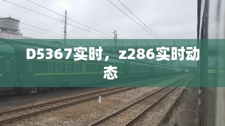 第1368页