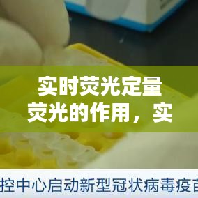 实时荧光定量荧光的作用，实时荧光定量试剂 