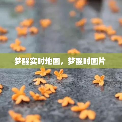梦醒实时地图，梦醒时图片 