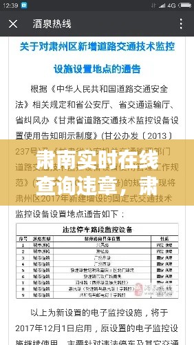 肃南实时在线查询违章，肃南政府网 